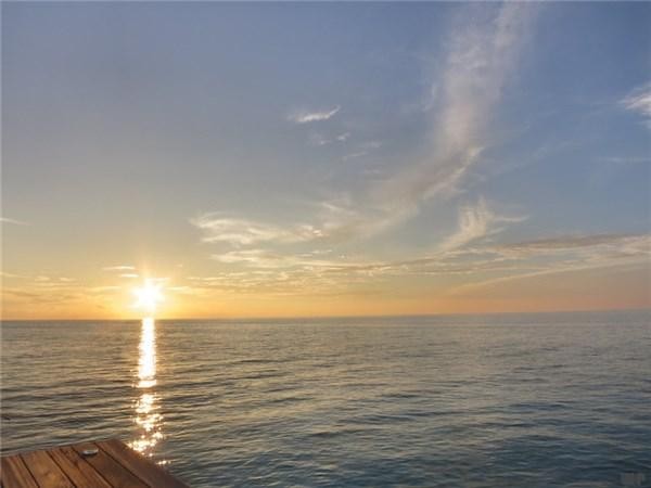 朋友圈里的爱情甜蜜地说，句句精致正能量，总有一句触动你的话